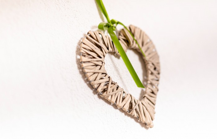 Ferienhaus_Brindling_LO_1 (21)